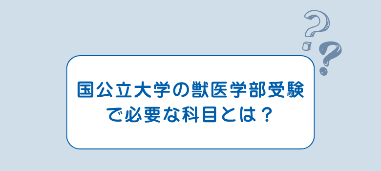 国公立大学