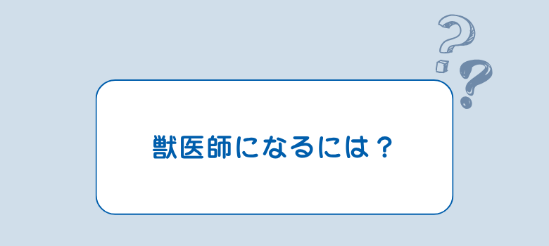 獣医師