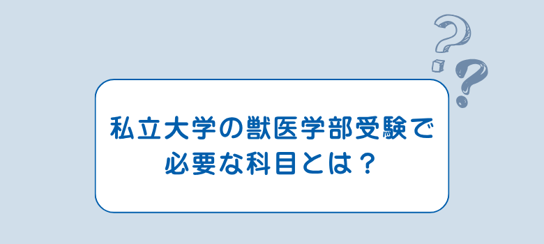 私立大学
