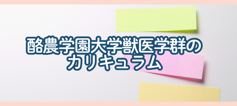 酪農学園大学獣医学群カリキュラム