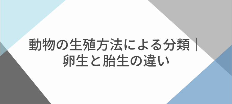 卵生と胎生
