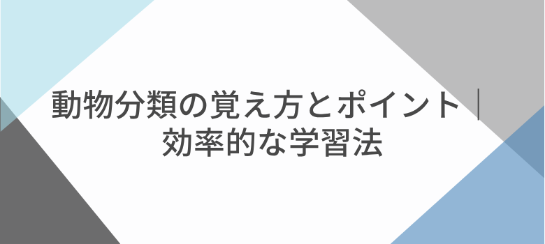 動物分類