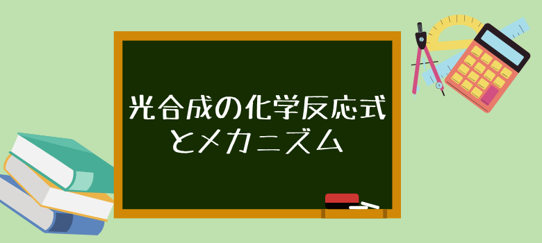 個別指導
