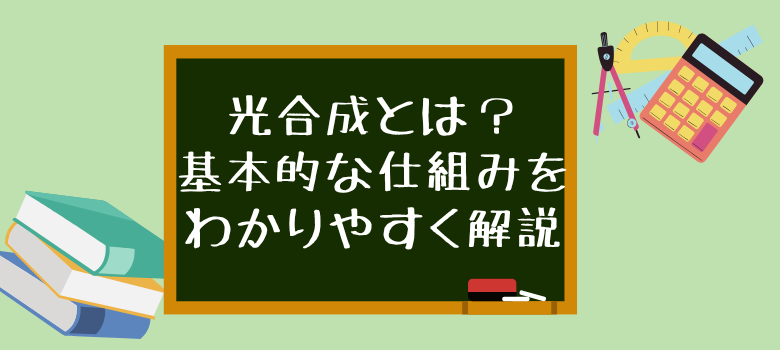 個別の会
