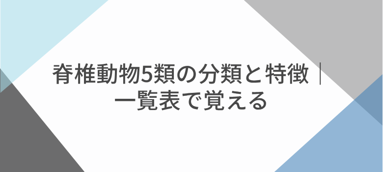 脊椎動物