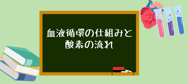 血液循環