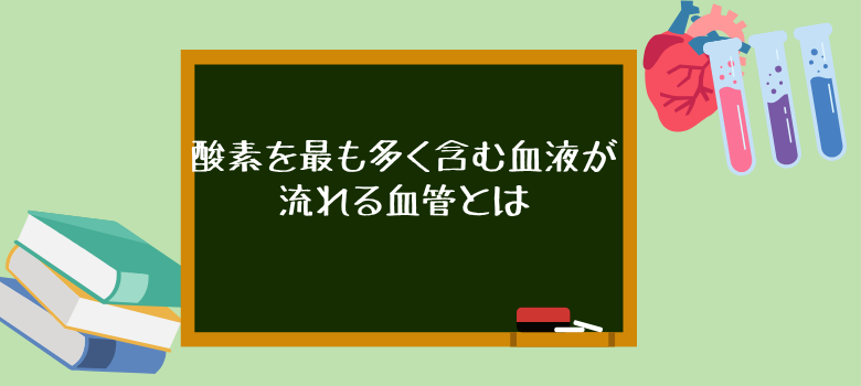 肺静脈
